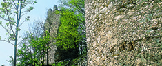 Castello di Macchiatimone