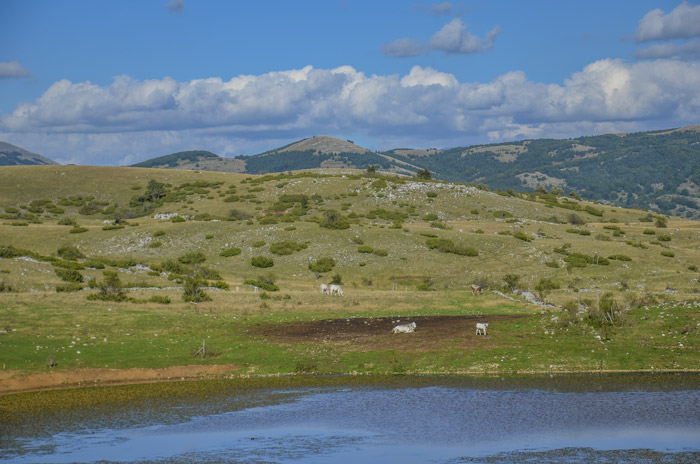 Laghetto della petrella e pascolo