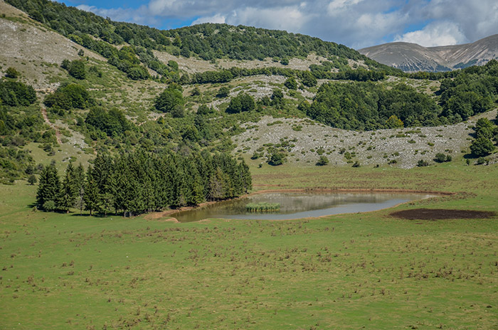 Veduta del laghetto