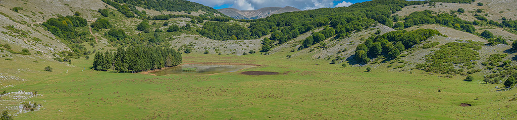 Vista del panorama