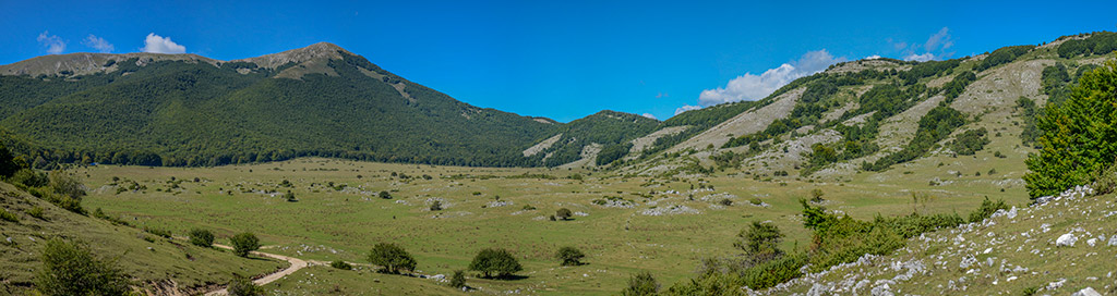 Vista panorama