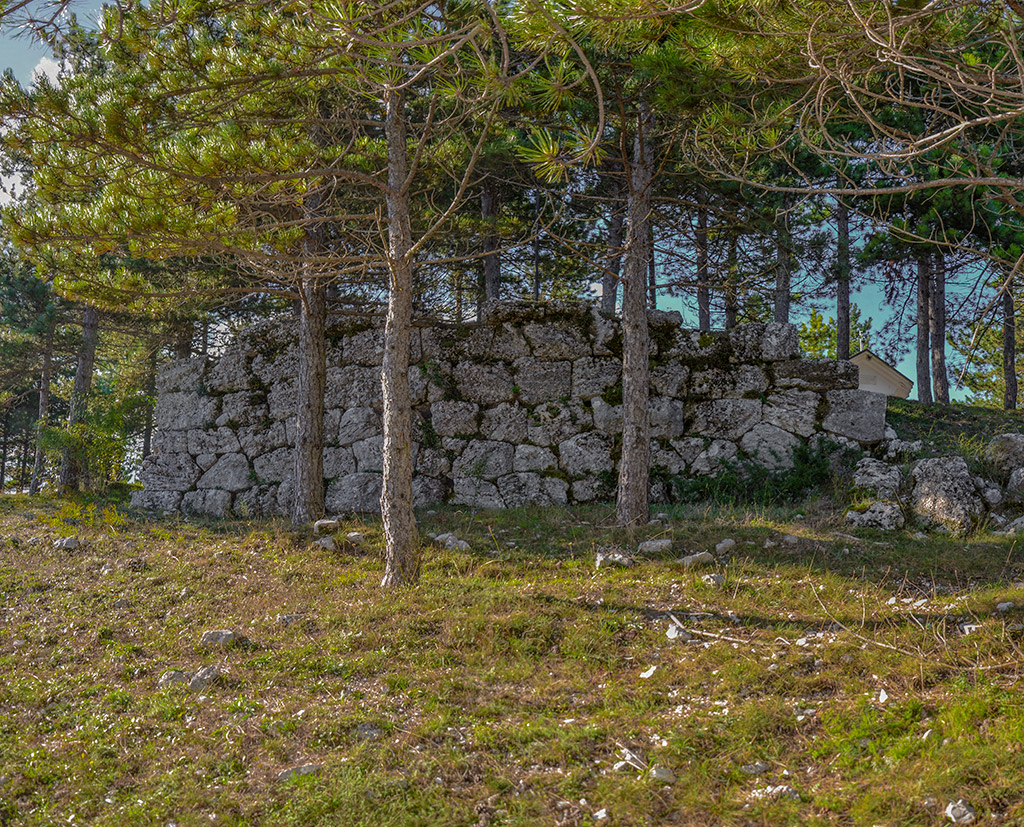 Ruderi